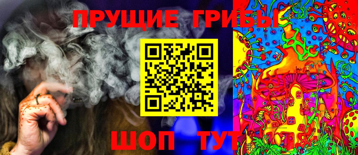 Псилоцибиновые грибы GOLDEN TEACHER  Галлюциногенные грибы мухоморы  Амурск  Вход с VPN 